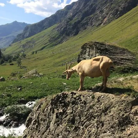 De La Marmotte - Aime 2000 Appartement