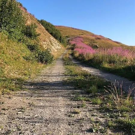 De La Marmotte - Aime 2000 *