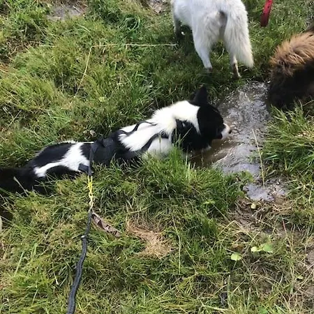 De La Marmotte - Aime 2000 Διαμέρισμα La Plagne