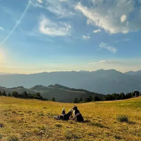 De La Marmotte - Aime 2000